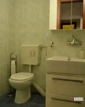 decomandat, centrala proprie-Timocului - imagine 12