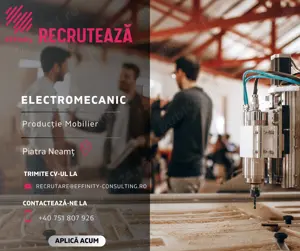 Electromecanic - Piatra Neamț