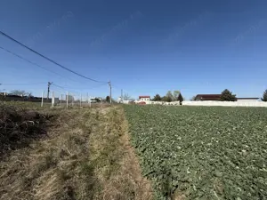 0% | Teren intravilan, 4563 mp, front 25 m, utilitati | Potigrafu PH - imagine 10