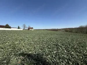 0% | Teren intravilan, 4563 mp, front 25 m, utilitati | Potigrafu PH - imagine 7