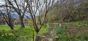 Casă de vânzare zona Viilor, Sighisoara - imagine 18