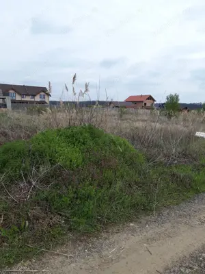Vanzare teren  sag manastire - imagine 2 Vanzare teren  sag manastire - imagine 2