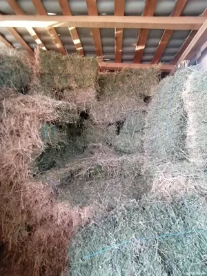 baloți de paie, fân și lucernă 