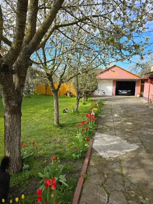 Casa individuala 4 camere si garaj in Pischia amenajata mobilata utilata pozitie excelenta - imagine 2