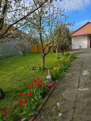 Casa individuala 4 camere si garaj in Pischia amenajata mobilata utilata pozitie excelenta - imagine 3