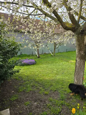 Casa individuala 4 camere si garaj in Pischia amenajata mobilata utilata pozitie excelenta - imagine 4