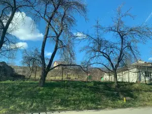 pers fiz BUCIUM str. Plopii fara Sot 9 caminul sf iosif - imagine 3