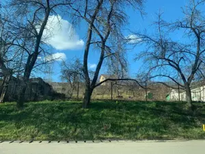 pers fiz BUCIUM str. Plopii fara Sot 9 caminul sf iosif - imagine 4