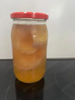 vand Ciuperca Kombucha cu starter