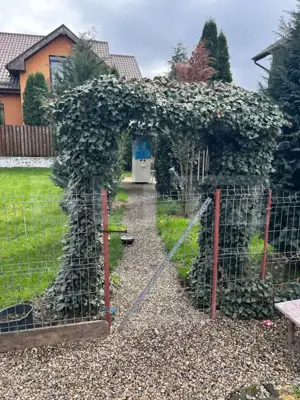 "Casă în zona 7 Noiembrie – Ideală pentru locuință sau business" - imagine 10