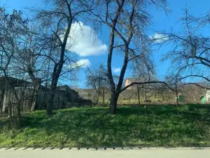 pers fiz BUCIUM str. Plopii fara Sot 9 caminul sf iosif