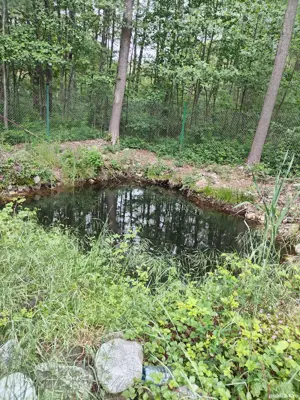 Teren de vanzare - imagine 4