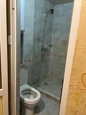 Apartament cu 2 camere de vanzare zona Giurgiului - imagine 3