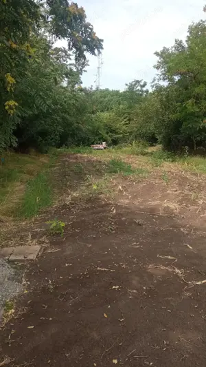 Teren intravilan Silistraru Braila - imagine 7