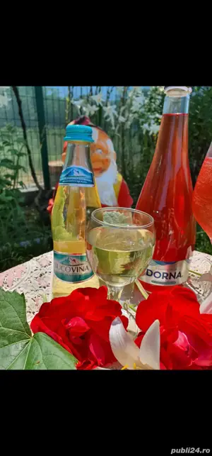 vin Roze , alb si rosu 