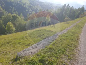 Teren extravilan, 2000 mp, Sat Peștera (com Moieciu) - imagine 6