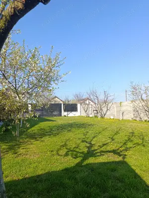 Casa individuala P+M Sânmihaiu Român  - imagine 7