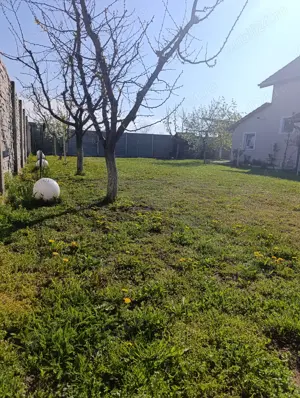 Casa individuala P+M Sânmihaiu Român  - imagine 13