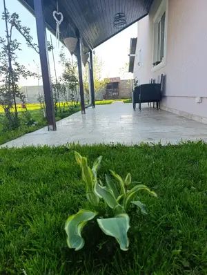 Casa individuala P+M Sânmihaiu Român  - imagine 14