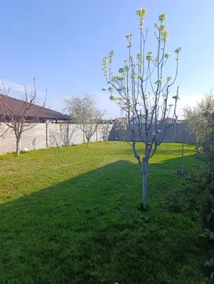 Casa individuala P+M Sânmihaiu Român  - imagine 3