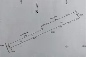Teren intravilan Salcia jud Olt 1879mp la strada principală. - imagine 5