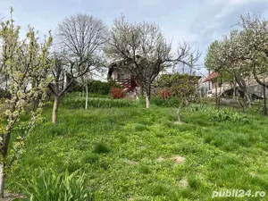 de vanzare teren intravilan ultracentral oradea cu toate utilitatile - imagine 4