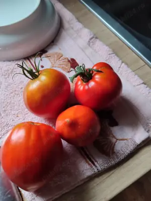 teren de vinzare - imagine 10