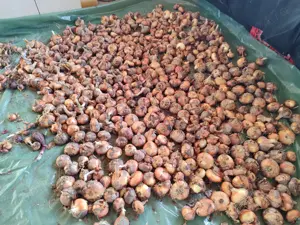 teren de vinzare - imagine 11