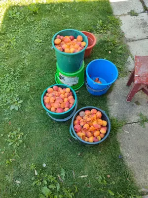 teren de vinzare - imagine 8