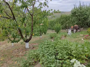 teren de vinzare - imagine 12