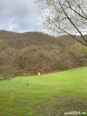 Teren de vanzare Somesu Rece!!!