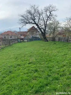 vanzare gradina - imagine 4