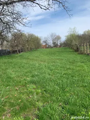 vanzare gradina - imagine 3