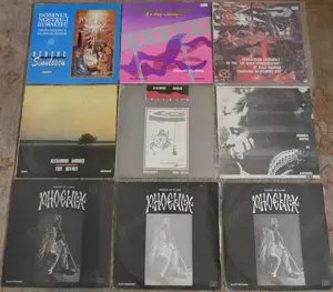 Discuri Vinyl si Ebonita Romanesti Straine Muzica Romaneasca Pop Rock Disco 12" - imagine 2