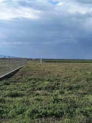 Vând 2 loturi de teren, Frumușani - Vasilati - imagine 2