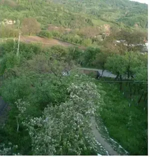 Vand  casa si teren Drajna de Jos  - imagine 4