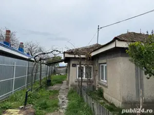 Casă de vânzare, Mircea Vodă 450 mp - imagine 3 Casă de vânzare, Mircea Vodă 450 mp - imagine 3
