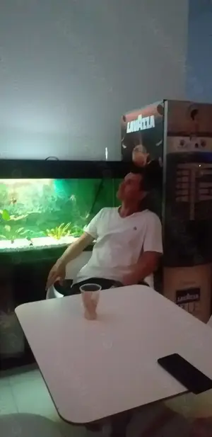 doresc colaborare,angajare - imagine 2