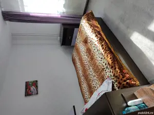 Apartament 2 camere decomandat, Str. Energiei 31  - imagine 4