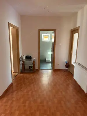 Vand casa cu etaj in Remetea Mare jud.Timis,240 mp locuibili si 1500 mp teren - imagine 6