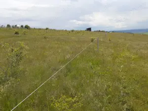 INTRAVILAN DE VANZARE 6 parcele de teren langa Cluj Napoca - imagine 3