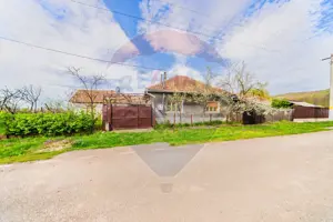 Casă cu teren 4500mp de vanzare in Carand Jud. Arad 0%Comision - imagine 5