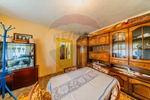 Casă cu teren 4500mp de vanzare in Carand Jud. Arad 0%Comision - imagine 3