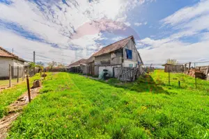 Casă cu teren 4500mp de vanzare in Carand Jud. Arad 0%Comision - imagine 18