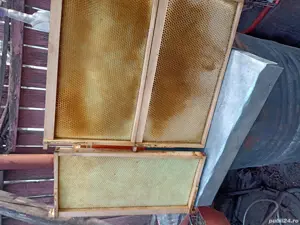 rame tei cu foite de ceară sau cladite