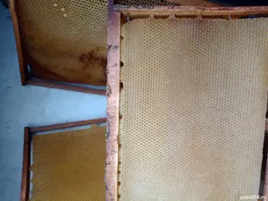 rame tei cu foite de ceară sau cladite - imagine 3