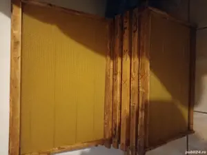 rame tei cu foite de ceară sau cladite - imagine 2