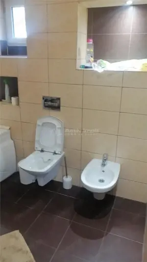 5 cam - Sanicolau - Mic - imagine 10