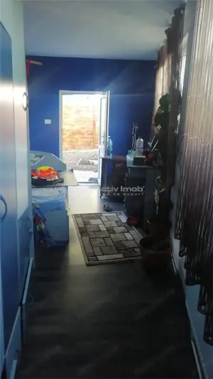 5 cam - Sanicolau - Mic - imagine 8