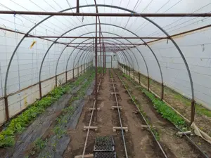 Vand casă  - imagine 4